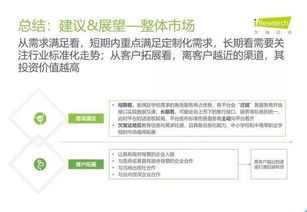 2019年中國教育信息化行業報告 信息技術咨詢服務